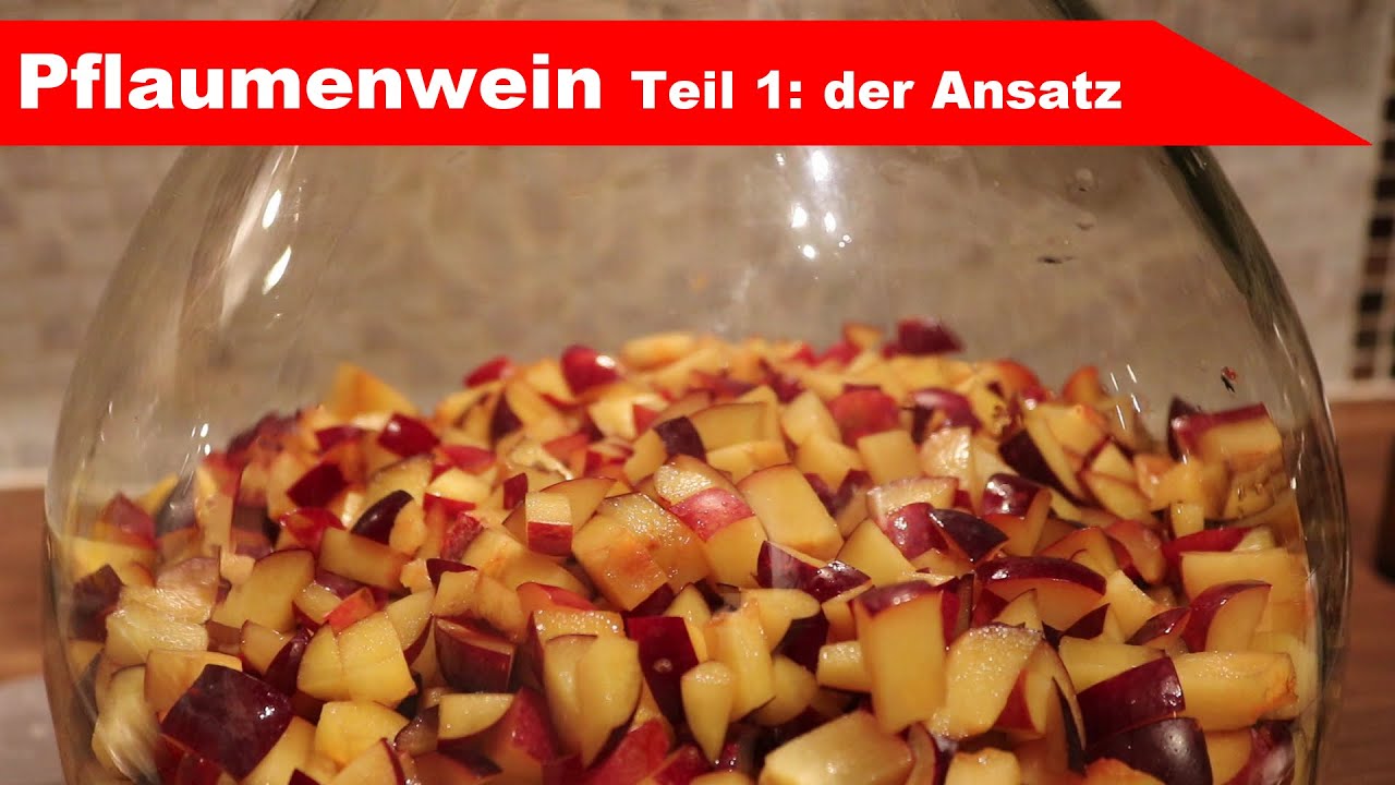 🍷 Pflaumenwein selber machen 🍷 Teil 1: Fruchtwein-Ansatz und Abpressen der Maische - Fermentastisch