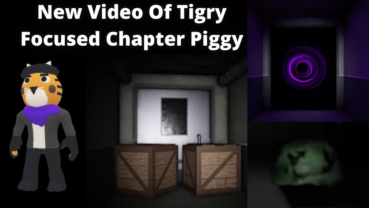 Tigry Focused Chapter Video Breakdown Piggy