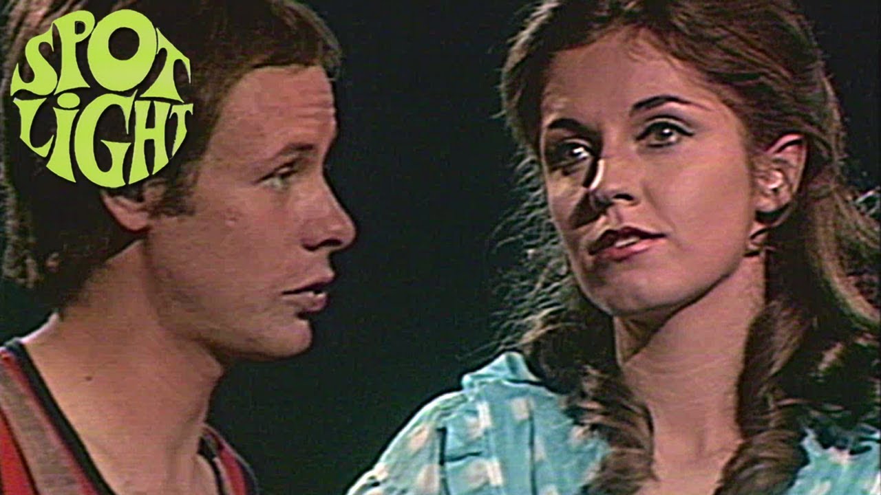 Wolfgang Ambros - Pop-Musical 