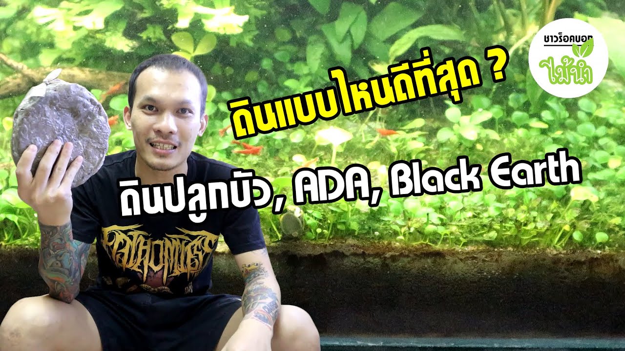 ดินแบบไหนดีที่สุด? สำหรับตู้ไม้น้ำของคุณ | ชาวร็อคบอกไม้น้ำ