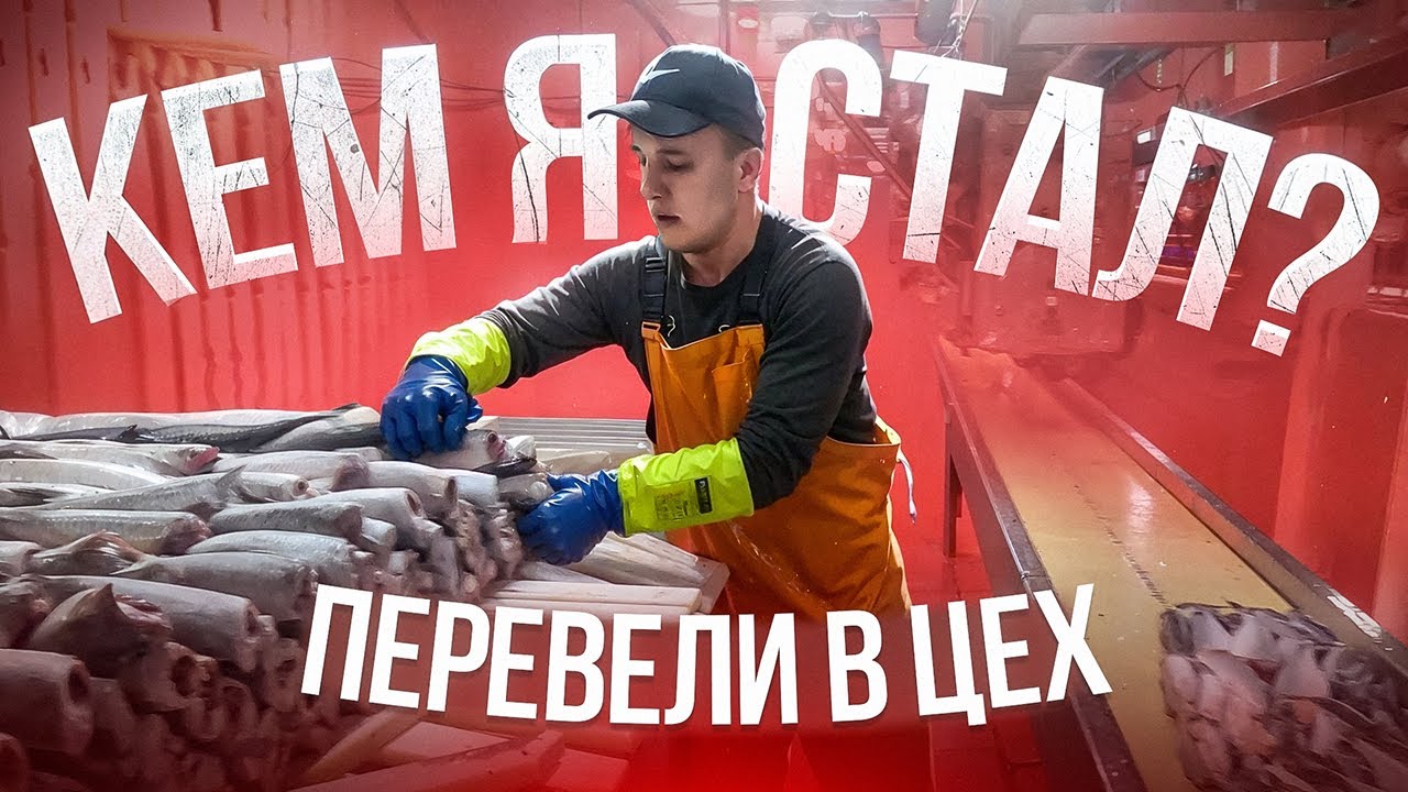 Меня перевели в цех ! Кем я стал ? Работа на рыбаке глазами матроса - мой личный опыт