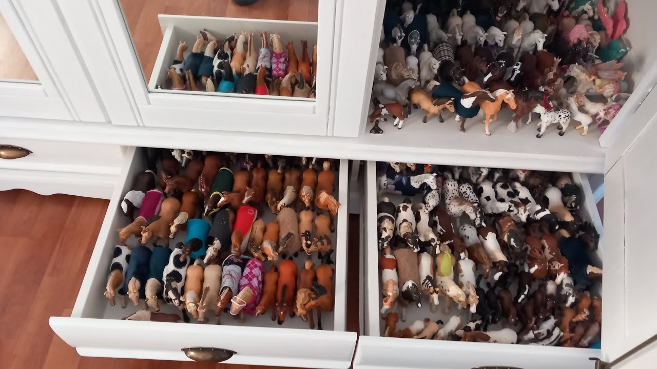 Alle meine Schleich Tiere + mein ganzes Zubehör... !!Über 700 Tiere!!🙈 #schleich #schleichliebe