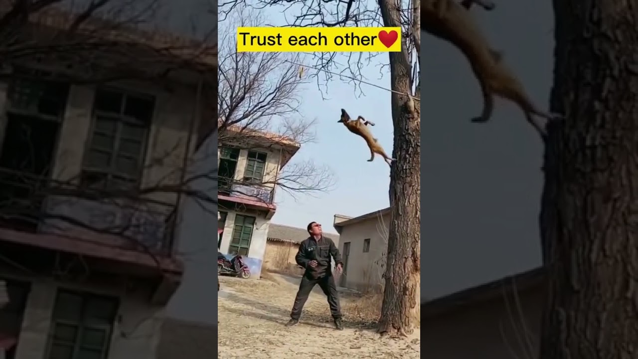 #Shorts /#Amazing Jump /#Crazy Jump #High Jump👍👍👍 -Part 3                 I'm unstoppable today