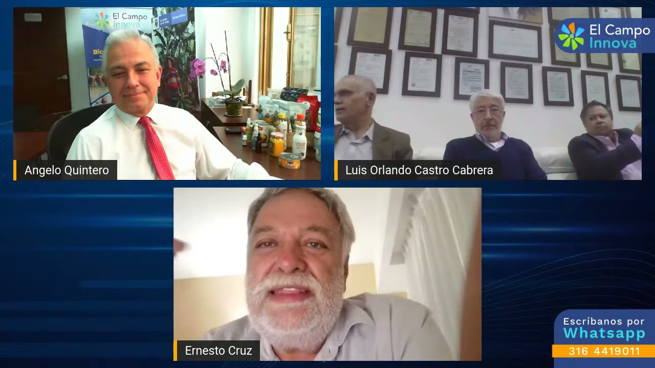 Atider maíz alto rendimiento conversación con el ministerio de agricultura de Colombia nov 17 2021