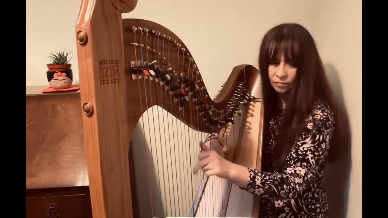 Afterglow - Ed Sheeran (harp cover)