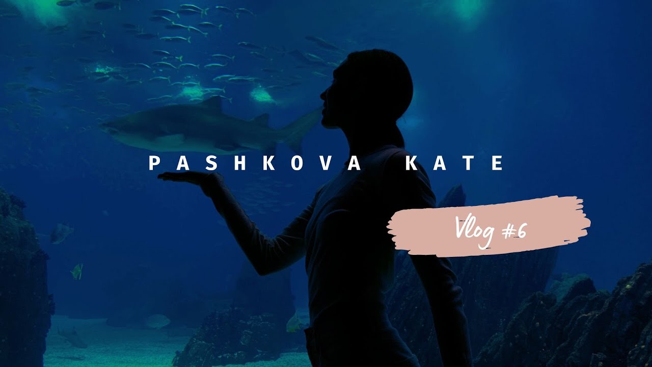 VLOG 6. Океанариум Лиссабона. Не ходи на рыбалку, пока не посмотришь это видео.