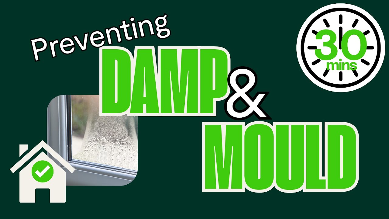 Understanding Damp and Mould Problems: And How to Fix Them!