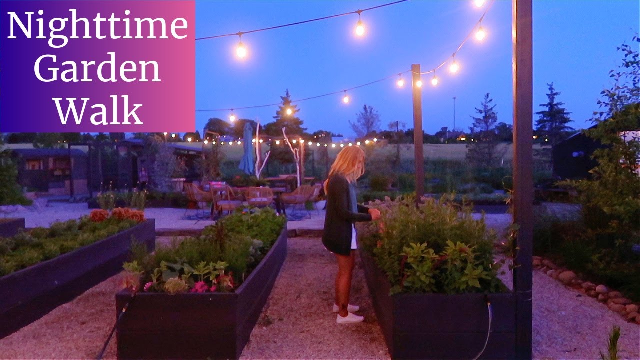 Nighttime Garden Walk | Beautiful & Magical Nighttime Garden