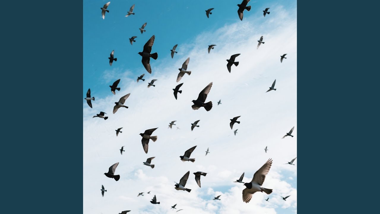 Change You Wish to See