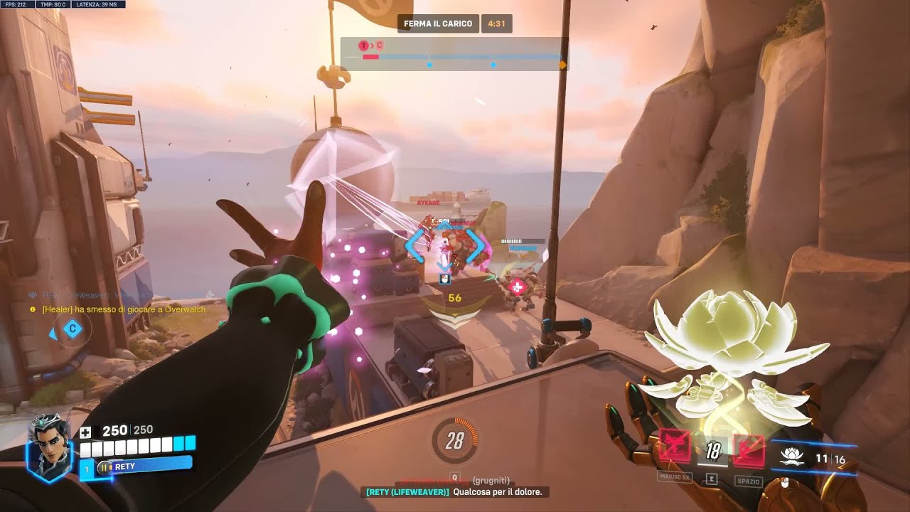 Basically i was the only supp