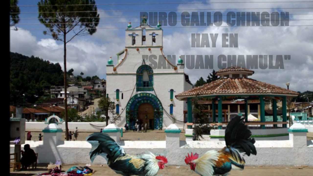 CARTELES DE SAN JUAN (SOY DE SAN JUAN CHAMULA).wmv