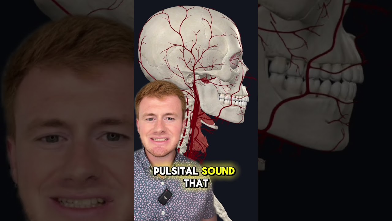 Pulsatile Tinnitus Doctor Sarasota Lavender Family Chiropractic resolves whooshing sounds in ear