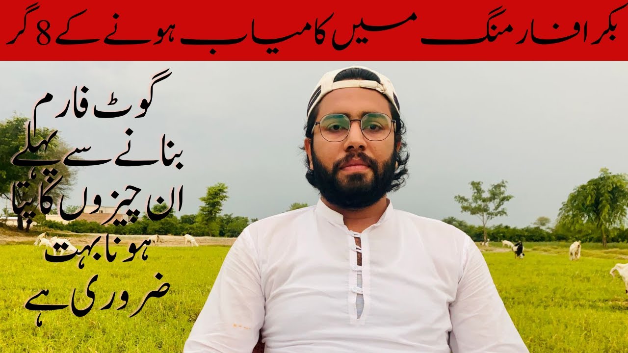 Tips to Become Successful in Goat Farming || Complete information about Goat farming for beginners|