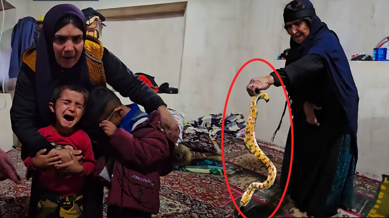 Snake in Grandma's House, Very Scary😱