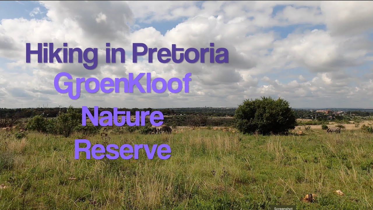 Deep House WALK in GroenKloof Nature Reserve | 54 Minutes | Treadmill Virtual WALK in 4K