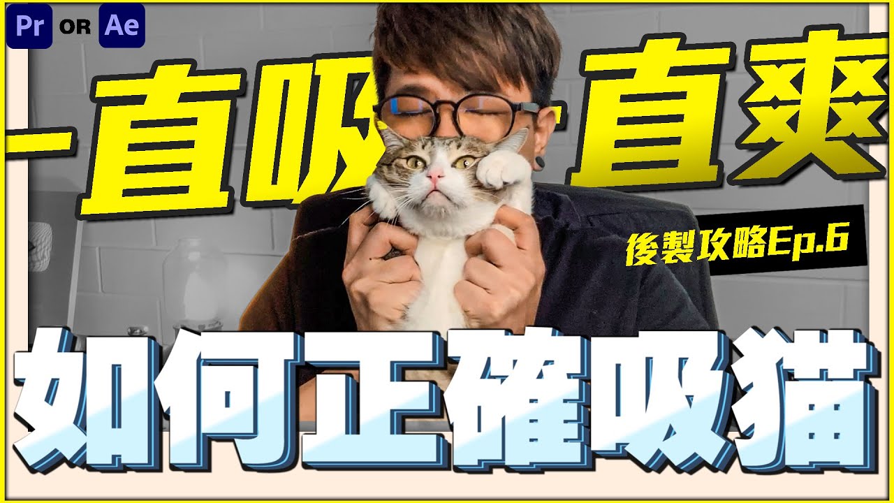 如何正確吸貓 | 猴子也能懂後製 Ep.6