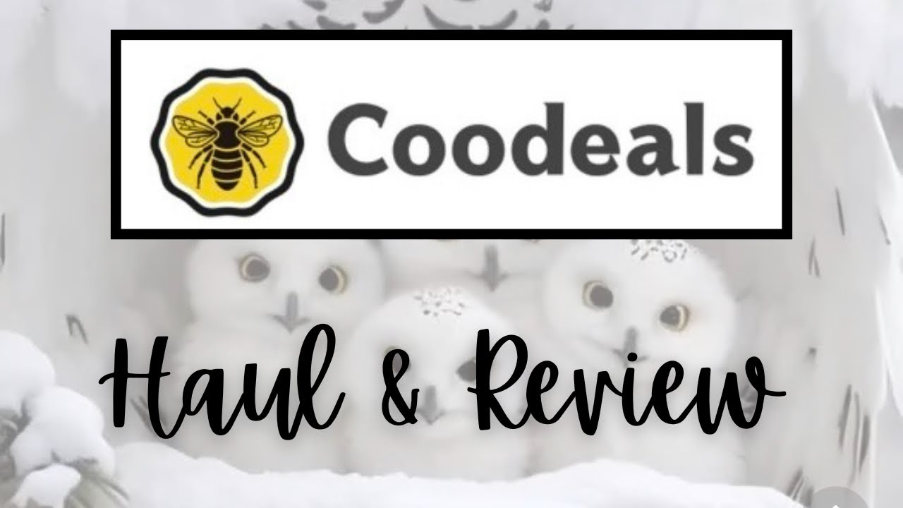 CooDeals Diamond Art Haul | AB & Fairy Dust Drills Review