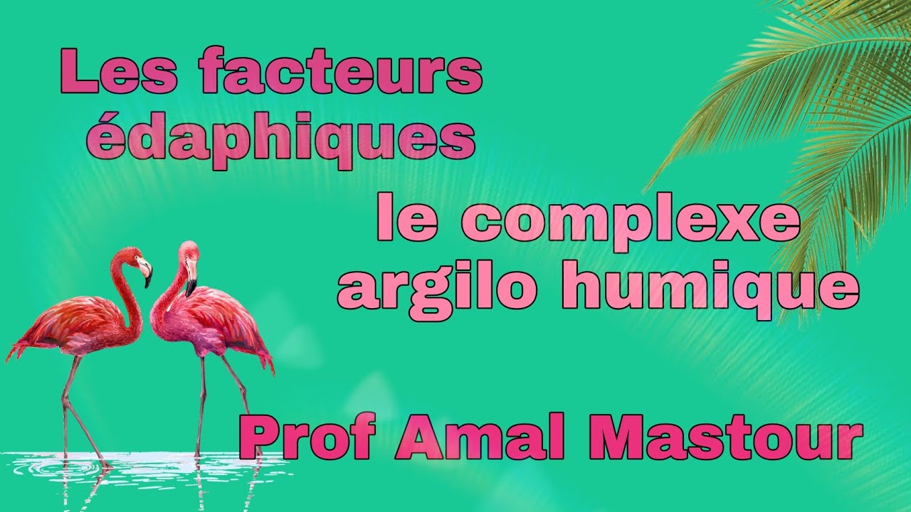 les facteurs &eacute;daphiques : le complexe argilo humique