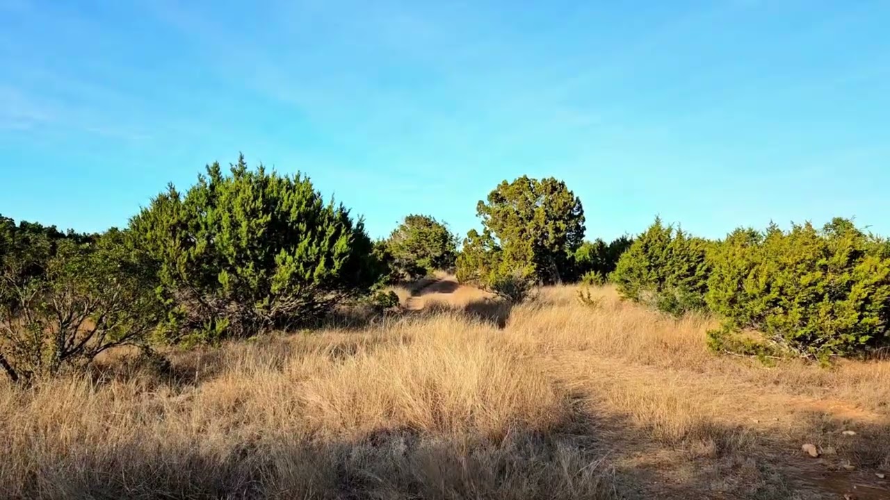 January 10, 2026 - Texas, Lost Maples State Natural Area