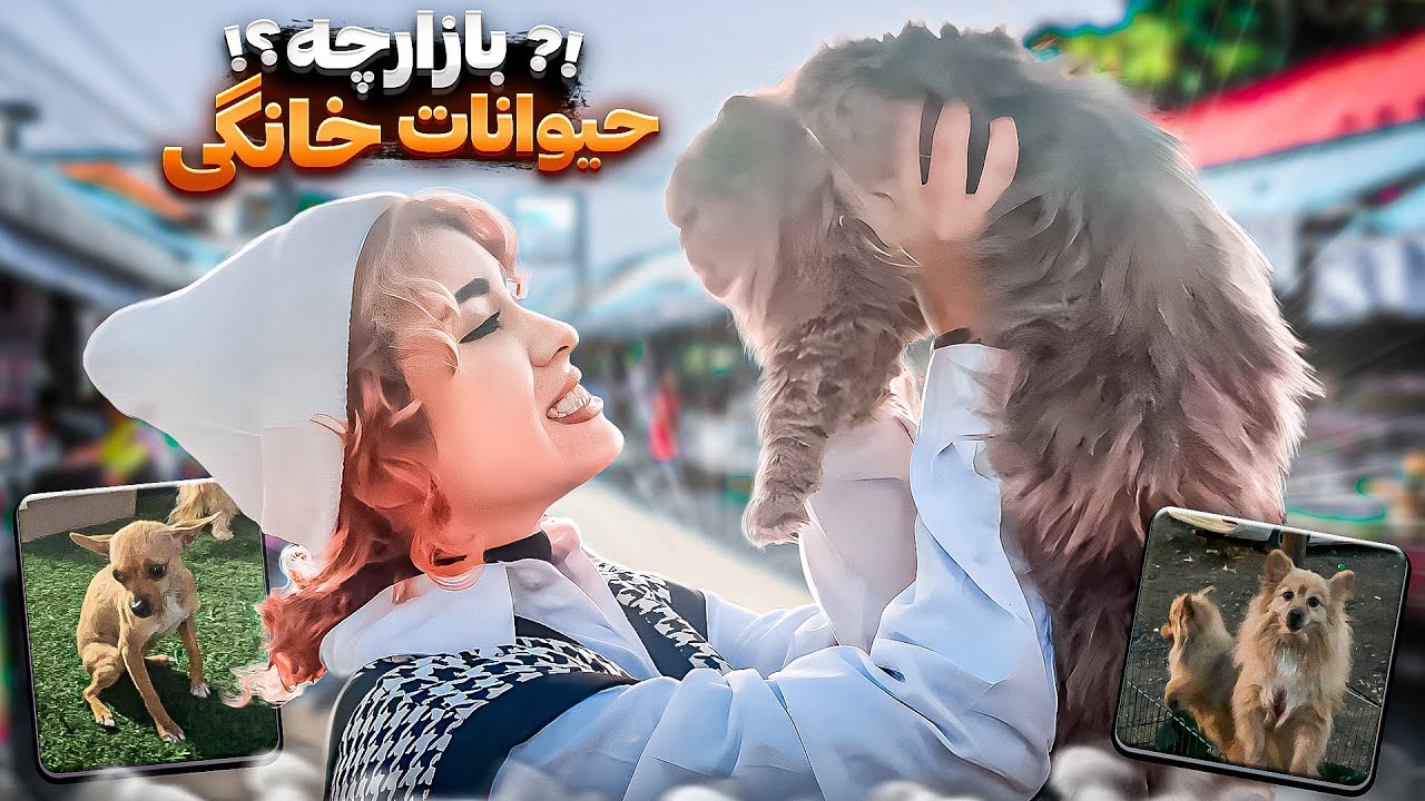بازار دستفروش‌های حیوانات خانگی در ایران😐⁉️ | رفتم از نزدیک دیدم…