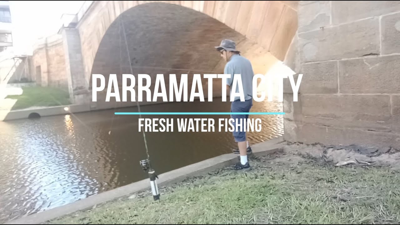 Parramatta City - Fresh Water Fishing, bream fishing 5/3