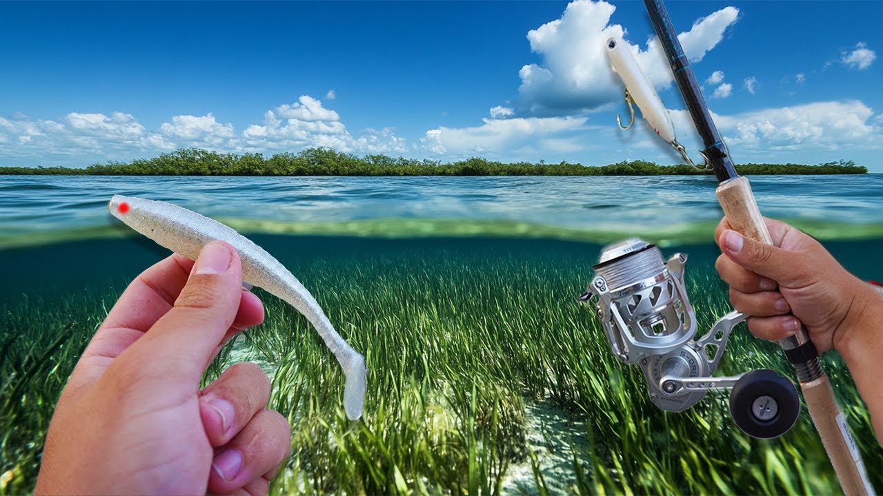 Swimbait Fishing Tampa Bays Grass Flats For Giants!
