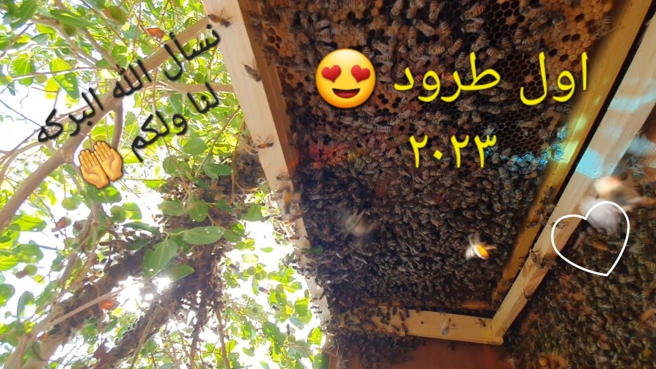 أول طرود ١٤٤٤ 🥰❤️
