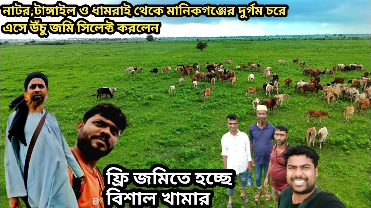 ফ্রি উঁচু জমিতে বিশাল খামার নাটর,টাঙ্গাইল এবং ধামরাই থেকে এসেছে মানিকগঞ্জের চরে || #manikganj ||