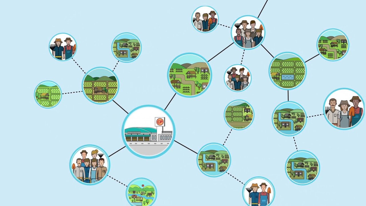 CPF LEAD THE WAY TO SUSTAINABILITY ( English Version )