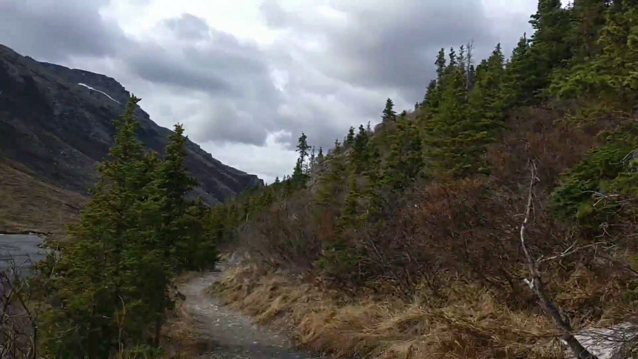 Savage River Trail in Denali National Park