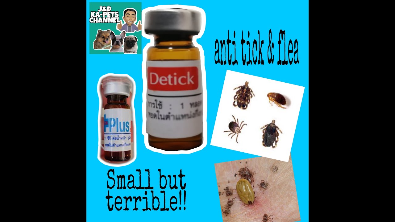 Anti tick and flea PART 2(Detick)