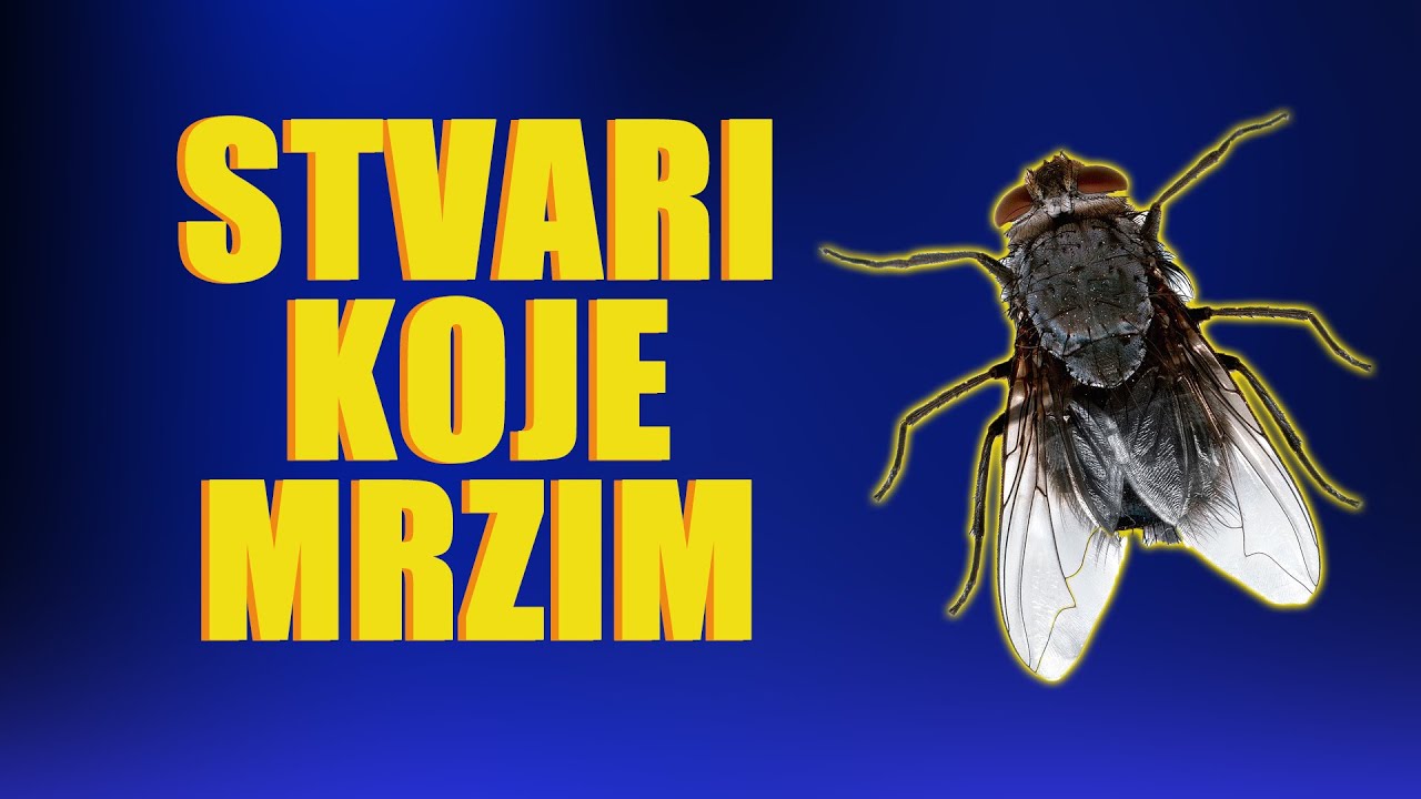 stvari koje mrzim xDD