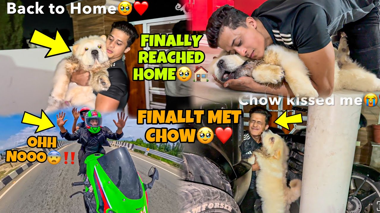Back to Home🥹 After Long Time | Finally Met Chow🥹❤️ my Baby Finally Reached Jammu after Long Time