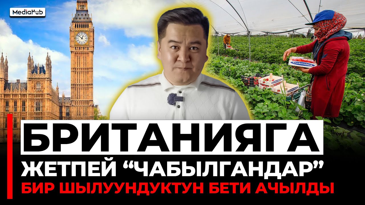 Британия. Чоң акча издеп бар акчасын алдыргандар