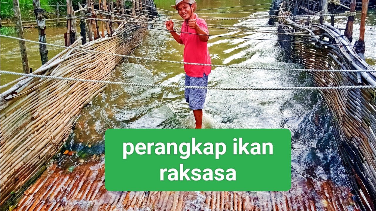 TERBUAT DARI RIBUAN BILAH BAMBU‼️PERANGKAP IKAN DI TENGAH SUNGAI@fishingrimbo3278