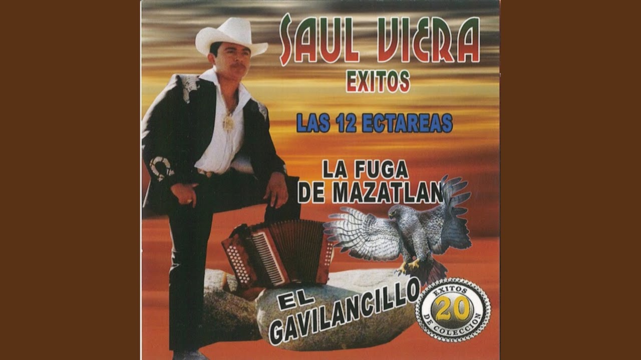 El Gavil&aacute;n