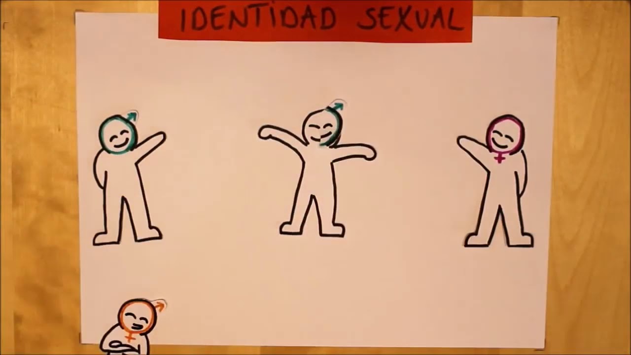 diferencia entre identidad de g&eacute;nero, orientaci&oacute;n sexual y sexo biol&oacute;gico