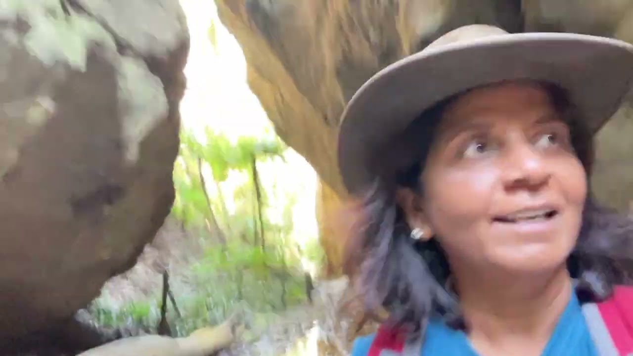 Carnarvon Gorge   Ward's Canyon Walk