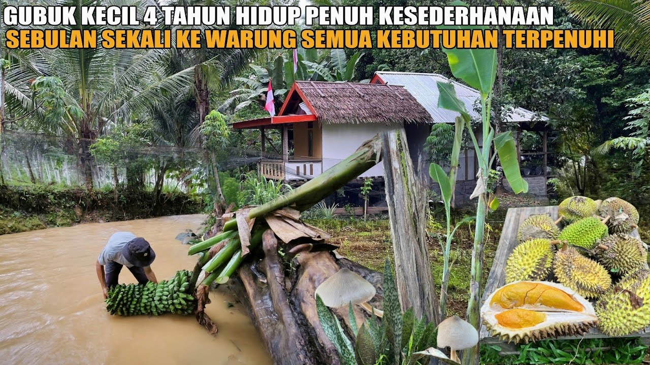 GUBUK KECIL 4 TAHUN HIDUP PENUH KESEDERHANAAN, TIAP HARI BISA MAKAN ENAK WALAUPUN TINGGAL DI HUTAN