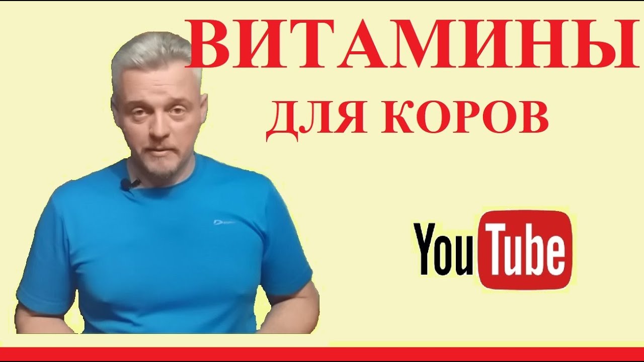 Какие витамины действительно нужны корове. Коротко от зоотехника-практика. WWW.DAIRY.BY