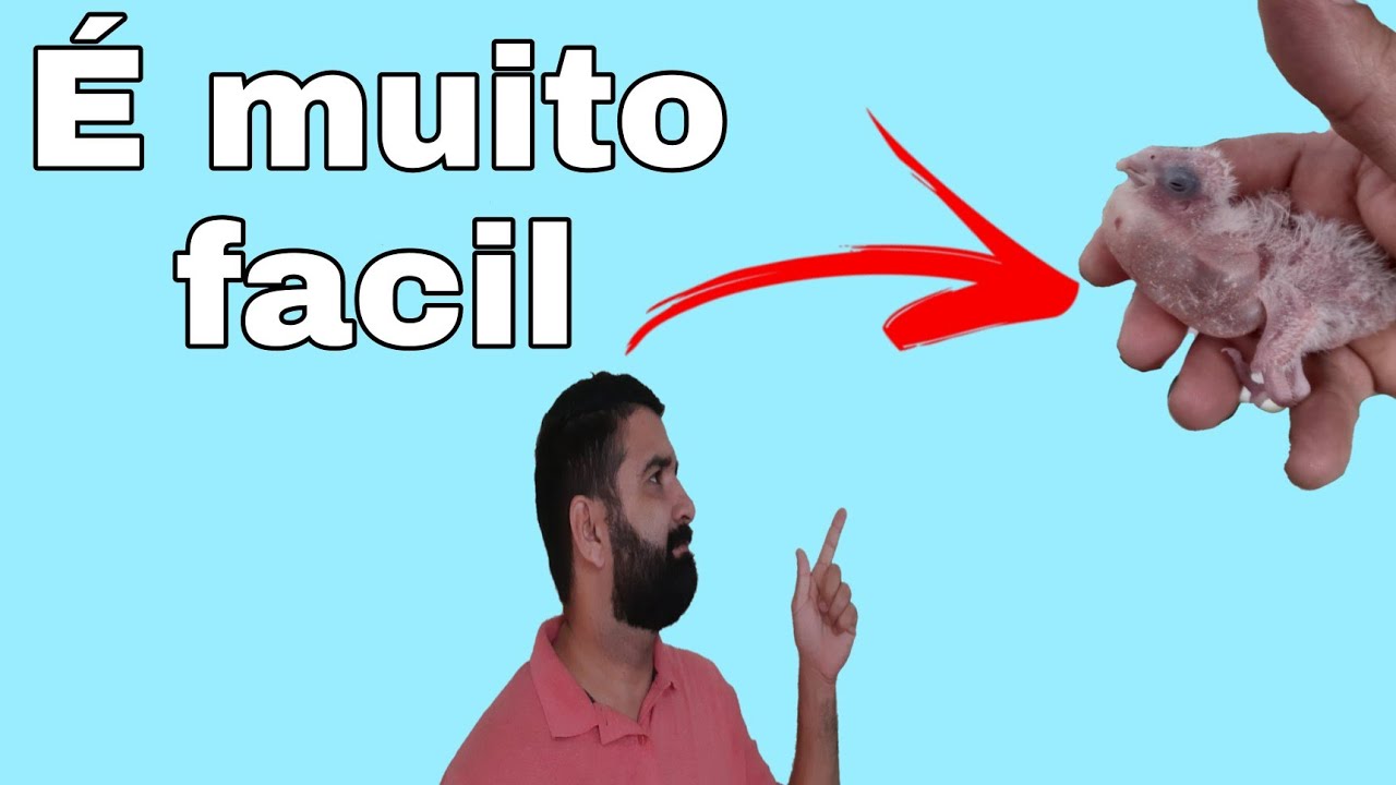 COMO TIRAR AR NO PAPO