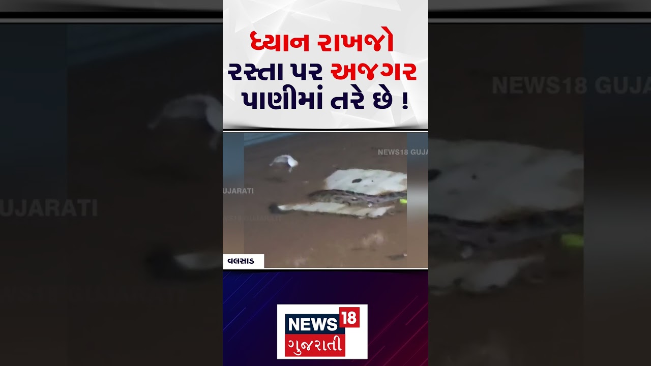 Valsad Heavy Rain | Beware, pythons are floating in the water on the road! | Gujarat Rain | Monsoon | N18S