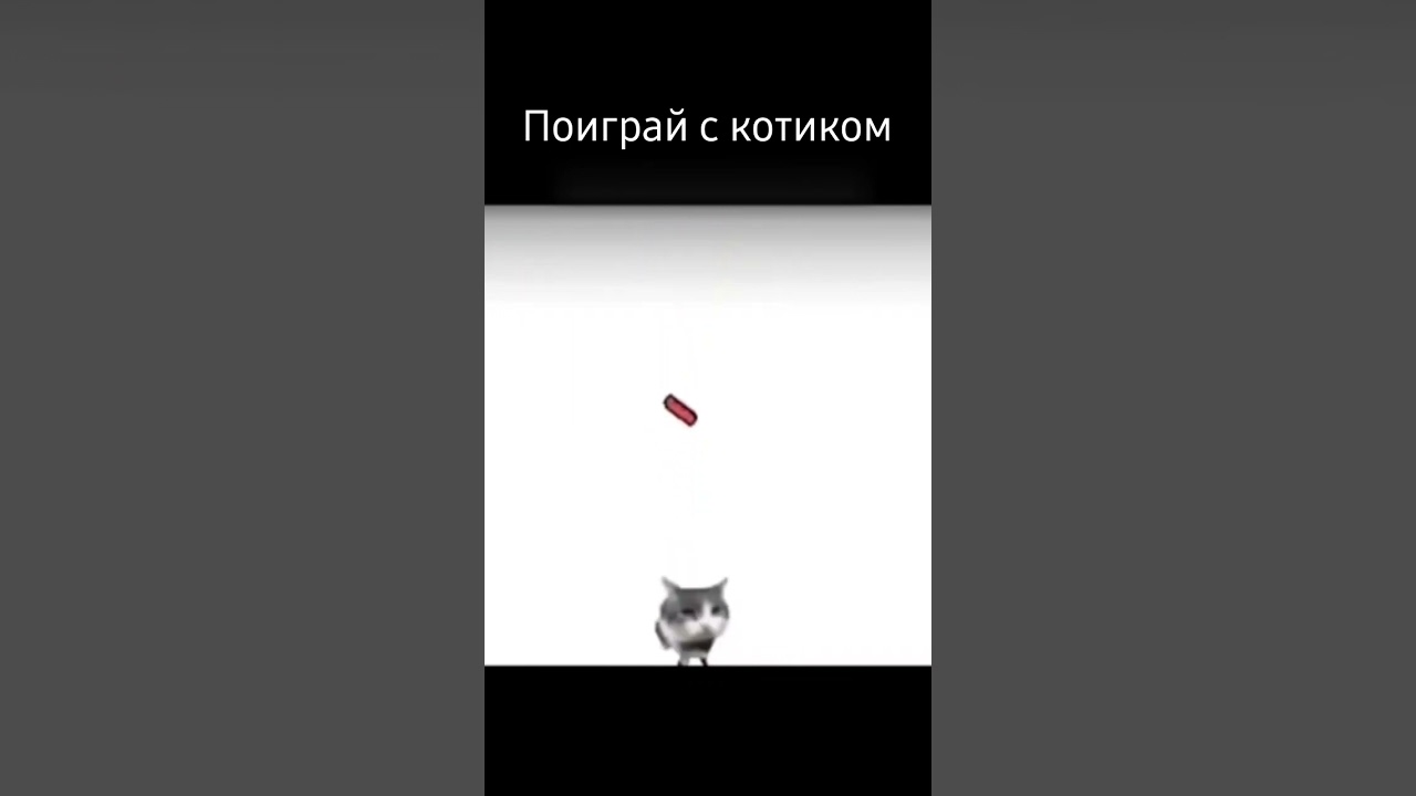 поиграй с котиком #cat #funny #memes #answer #jokes #meme #мем #рекомендации #icecream #birds