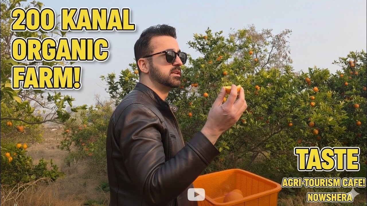 Inside a 200 Kanal Organic Fruit Farm | Agri-Tourism in Nowshera