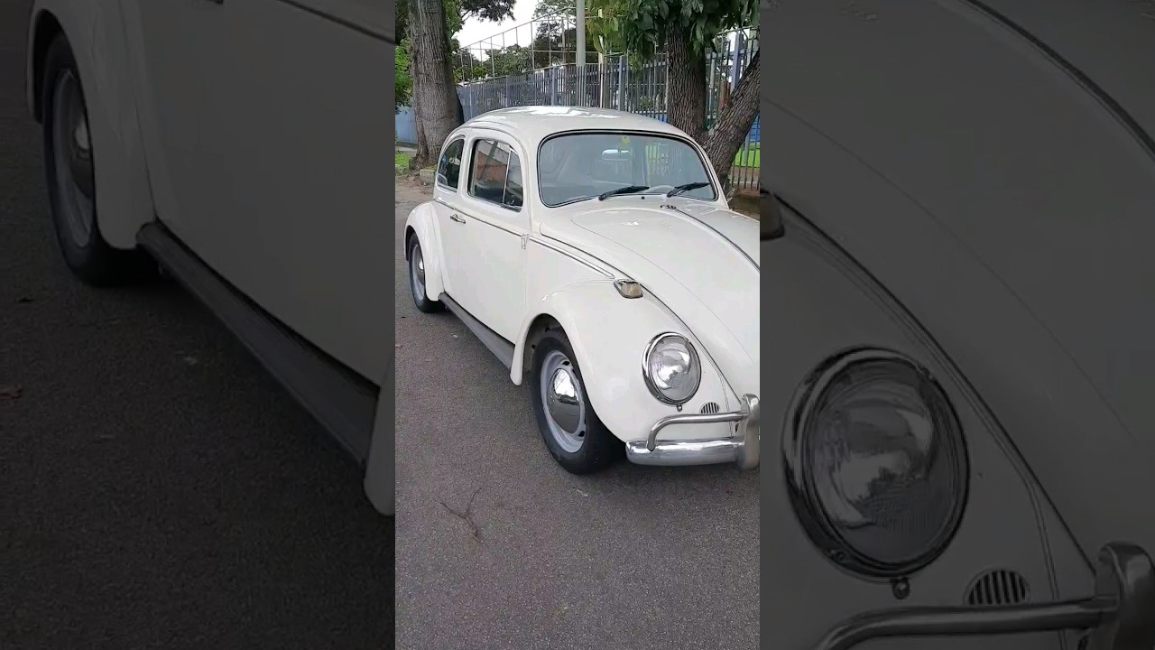 Fusca 68 &agrave; Venda Branco Lotus. Contato 12 99191 5970. #shorts #fusca #car