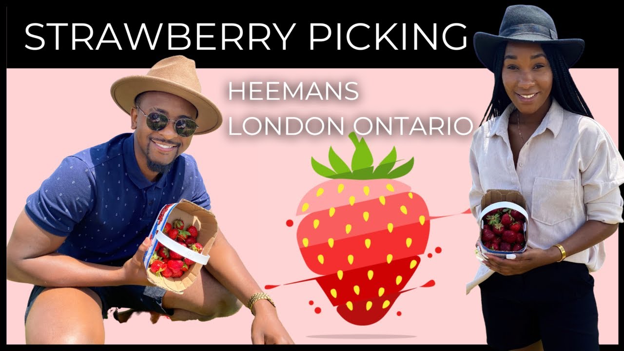 Sunday Vlog | Strawberry Picking | Heemans London Ontario