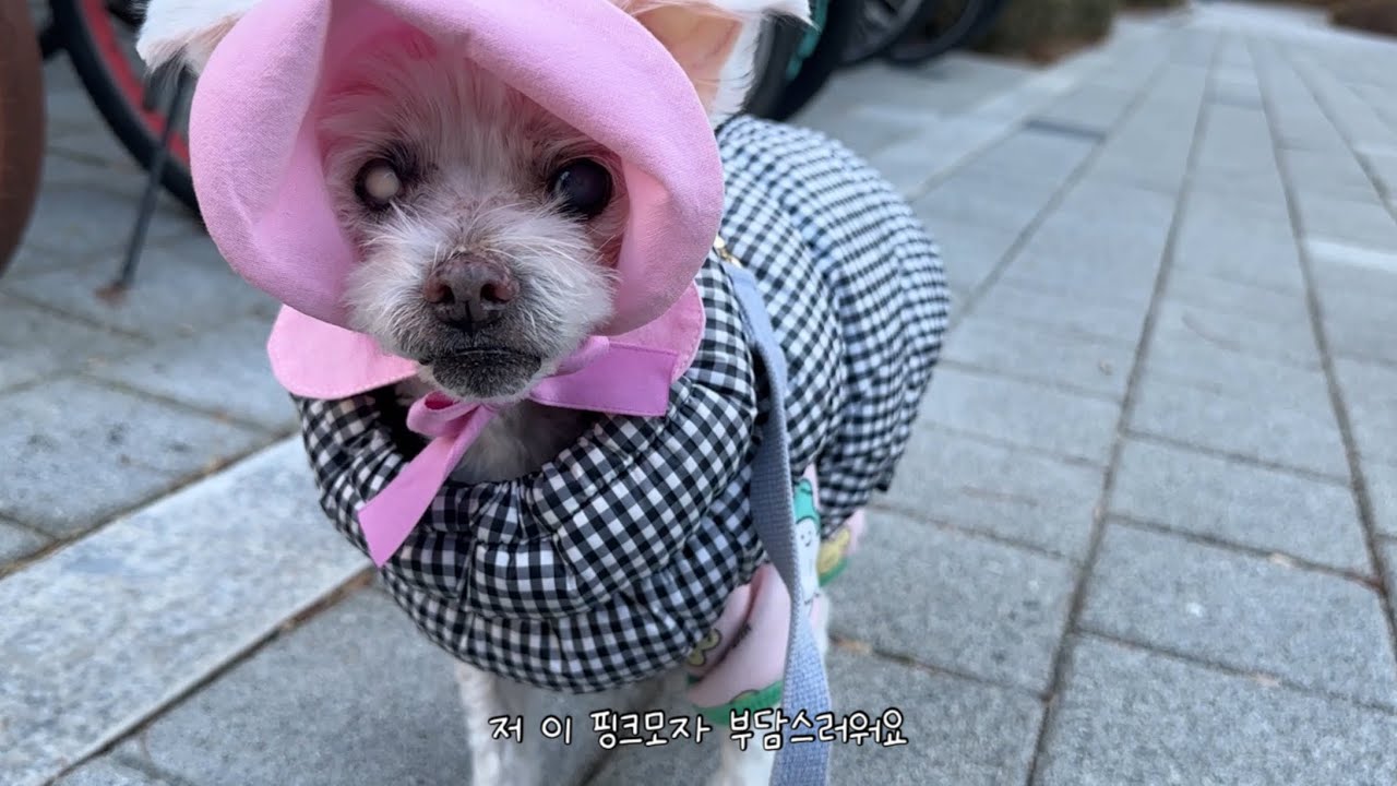 저 이 모자 부담스러워요