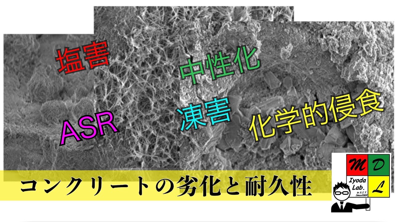コンクリートの劣化と耐久性〜促進環境と実物を見る〜