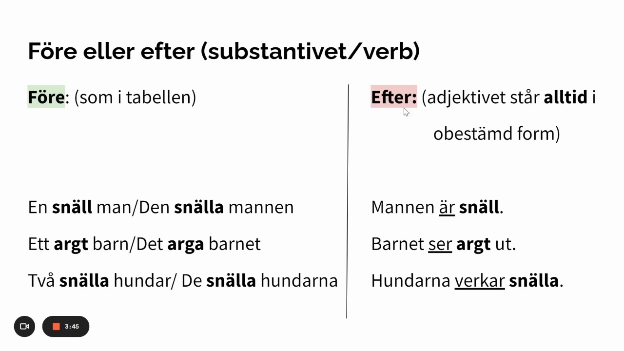 Hur man böjer adjektiv - kongruens