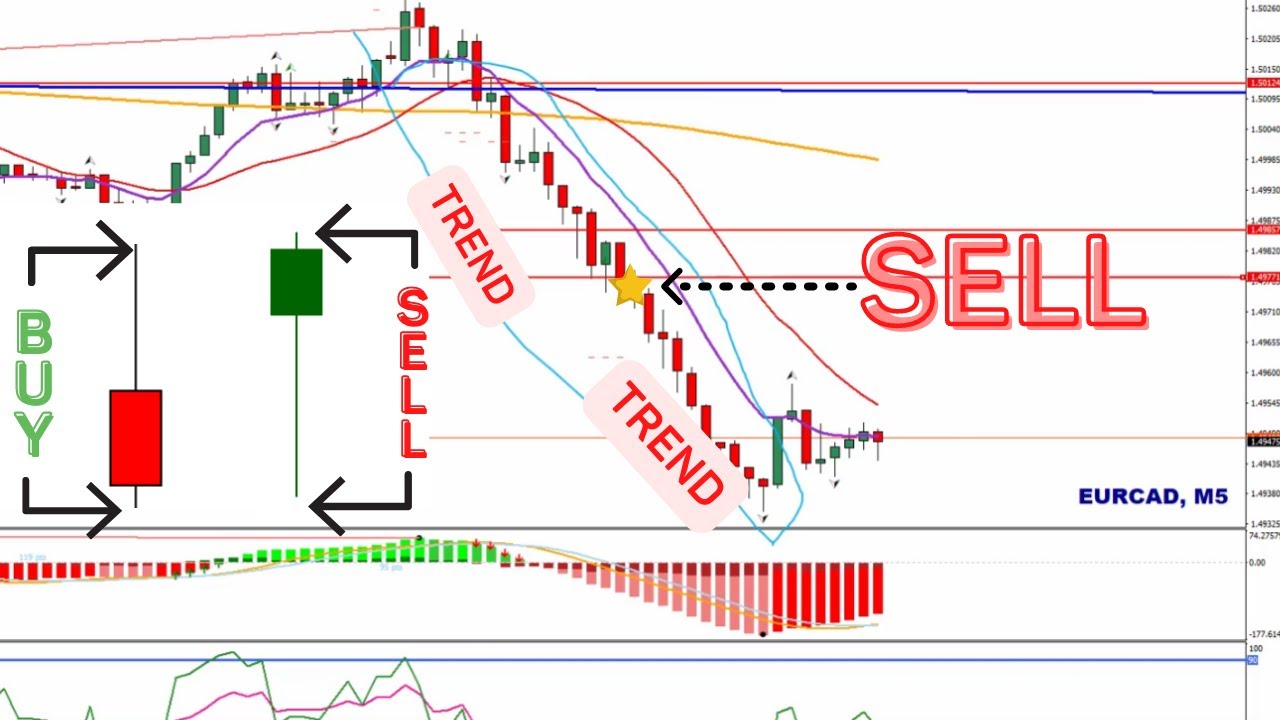 The Only Price Action Signal Video You Will Ever Need... (Full Trading Strategy)